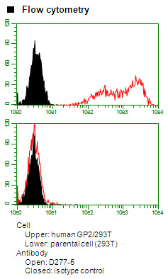 Anti-GP2 (Glycoprotein 2) (Human) mAb-PE