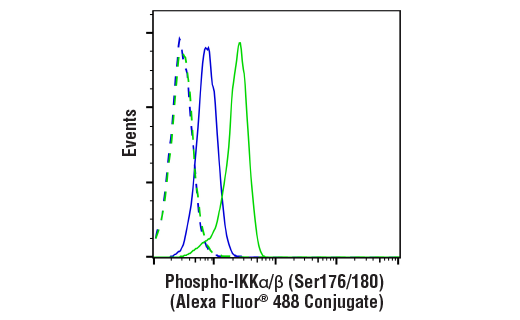 Phospho-IKK alpha/beta (Ser176/180) (16A6) Rabbit Monoclonal Antibody (Alexa Fluor488 Conjugate)