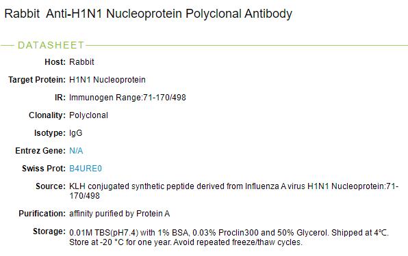 A型流感病毒核蛋白抗体