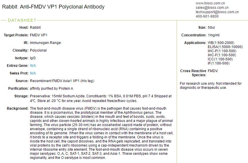 口蹄疫病毒VP1抗体