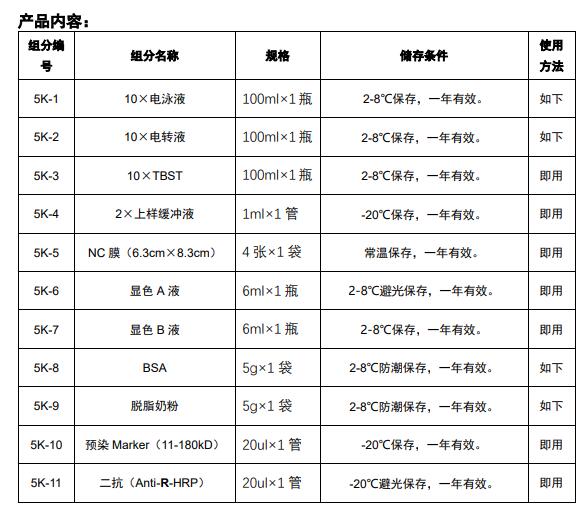 WB检测试剂盒（抗兔一抗）