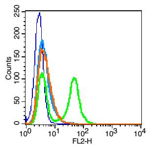 血小板内皮细胞黏附分子-1抗体