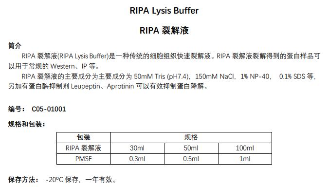 RIPA裂解液(M)/RIPA裂解液(中)
