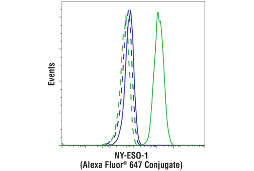 NY-ESO-1 (D1Q2U) Rabbit mAb (Alexa Fluor 647 Conjugate)