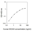 Human MCAM/CD146 ELISA