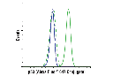 p53 (1C12) Mouse mAb (Alexa Fluor 647 Conjugate)